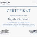 Powiększ obraz: certificate 2