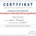 Powiększ obraz: certificate 1