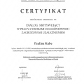 Powiększ obraz: certificate 1