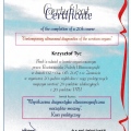 Powiększ obraz: certificate 15