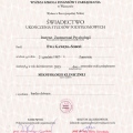 Powiększ obraz: certificate 2