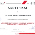 Powiększ obraz: certificate 5