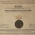 Powiększ obraz: certificate 2