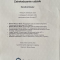 Powiększ obraz: certificate 9