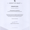 Powiększ obraz: certificate 1