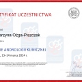 Powiększ obraz: certificate 9