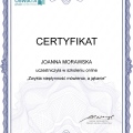Powiększ obraz: certificate 29