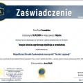 Powiększ obraz: certificate 5