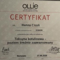 Powiększ obraz: certificate 4