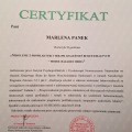 Powiększ obraz: certificate 3