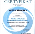 Powiększ obraz: certificate 9