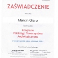 Powiększ obraz: certificate 8