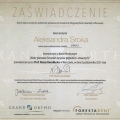 Powiększ obraz: certificate 2