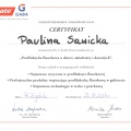 Powiększ obraz: certificate 12
