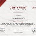 Powiększ obraz: certificate 3