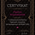 Powiększ obraz: certificate 1