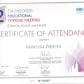 Powiększ obraz: certificate 5