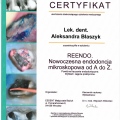 Powiększ obraz: certificate 3