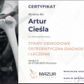 Powiększ obraz: certificate 11