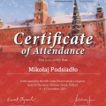 Powiększ obraz: certificate 11