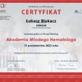 Powiększ obraz: certificate 192