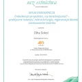 Powiększ obraz: certificate 5