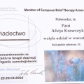 Powiększ obraz: certificate 7
