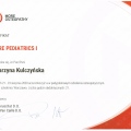 Powiększ obraz: certificate 10