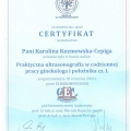 Powiększ obraz: certificate 35