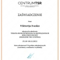 Powiększ obraz: certificate 2