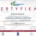 Powiększ obraz: certificate 23