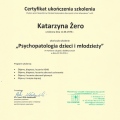 Powiększ obraz: certificate 4