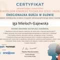 Powiększ obraz: certificate 5