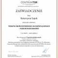 Powiększ obraz: certificate 7