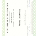 Powiększ obraz: certificate 9