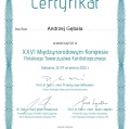 Powiększ obraz: certificate 2