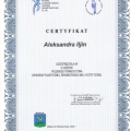 Powiększ obraz: certificate 17