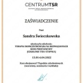 Powiększ obraz: certificate 3