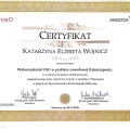Powiększ obraz: certificate 1