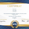 Powiększ obraz: certificate 3