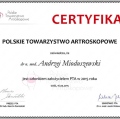 Powiększ obraz: certificate 13