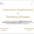 Powiększ obraz: certificate 6