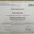 Powiększ obraz: certificate 1