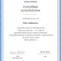 Powiększ obraz: certificate 4