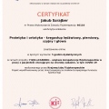 Powiększ obraz: certificate 40