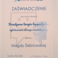 Powiększ obraz: certificate 6