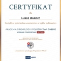Powiększ obraz: certificate 161