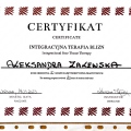 Powiększ obraz: certificate 1