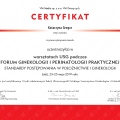 Powiększ obraz: certificate 12