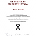 Powiększ obraz: certificate 24